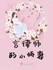 言律师的小娇妻